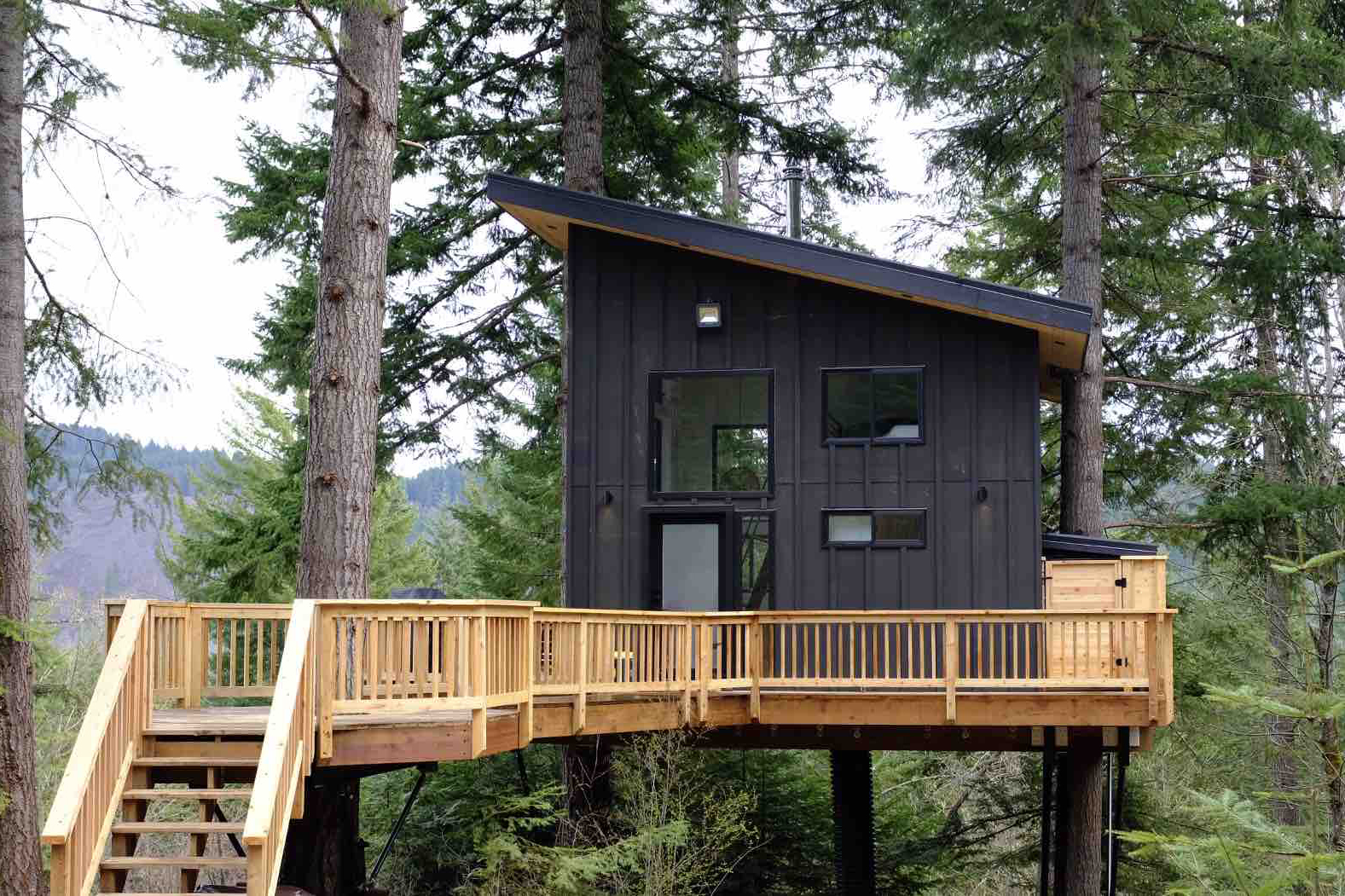 20 Magical Tree House Airbnbs and Hotels to Book Now