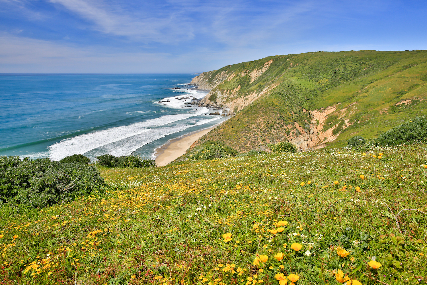Hikers will have unobstructed Pacific Ocean views along segments of the Tomales Point Trail.